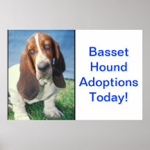 Basset Hound Adoption Poster