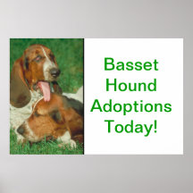 Basset Hound Adoptions Today Poster