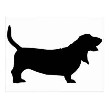 Basset Hound (black) Post Cards