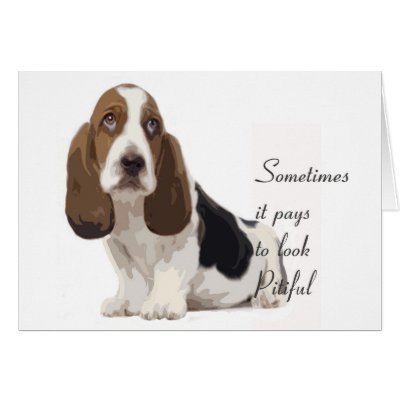 Basset Hound Cards by knewfy
