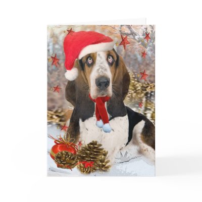 Basset Hound Christmas Portrait Greeting Cards by friskybiz