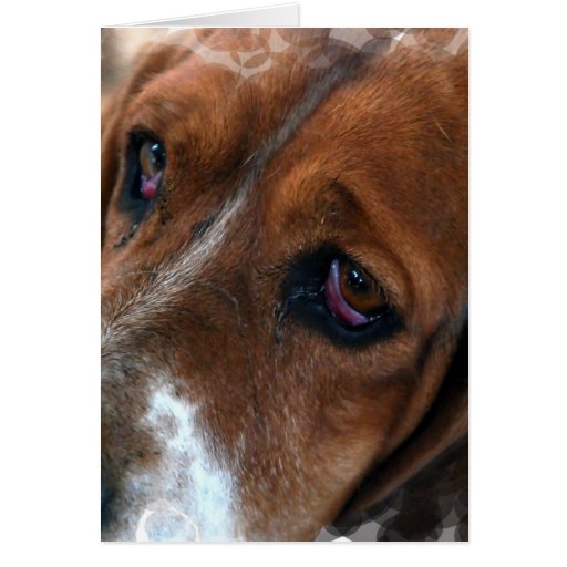 Basset Hound Design Greeting Card