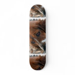 Basset Hound Design Skateboard
