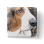 Basset Hound Dog Button