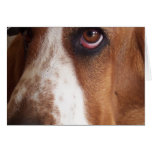 Basset Hound Dog Greeting Card