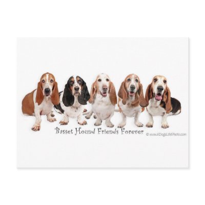 Basset Hound Friends Forever by azbassetrescue