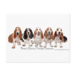 Basset Hound Friends Forever postcards
