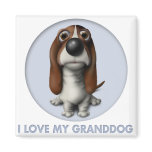 Basset Hound Granddog