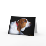 Basset Hound Greeting card