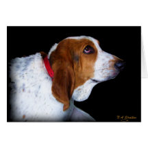 Basset Hound Greeting card