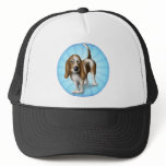 Basset Hound Hats