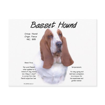 Basset Hound History Design by GreyWolfCreation