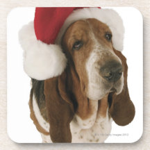 Basset hound in Santa hat Coasters