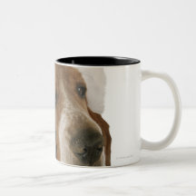 Basset hound in Santa hat Coffee Mug