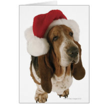 Basset hound in Santa hat Greeting Card