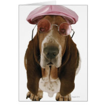 Basset hound in sunglasses and cap cards