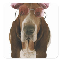 Basset hound in sunglasses and cap square sticker
