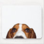 Basset Hound In your face Mouse Pads