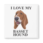 Basset Hound love