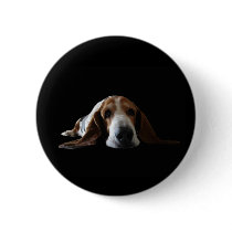 Basset Hound lying down
