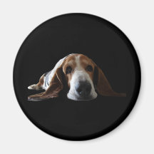 Basset Hound lying down Magnet