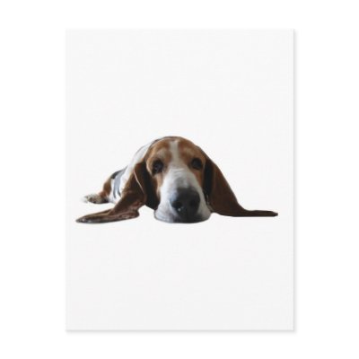 Basset Hound lying down by VathauerStudio