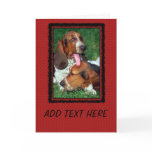 Basset Hound Photograph cards
