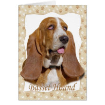 Basset Hound Portrait cards