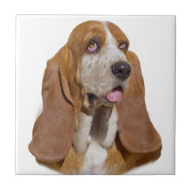 Basset Hound Portrait Tiles