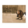 Basset Hound Postcards