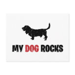 Basset Hound Post Card
