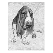 Basset Hound Postcards