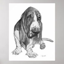 Basset Hound Print