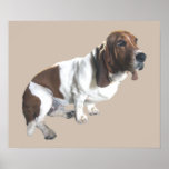 Basset Hound Print