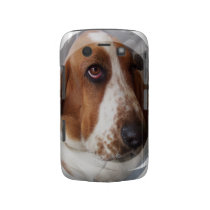 Basset Hound Puppy Blackberry Bold Case