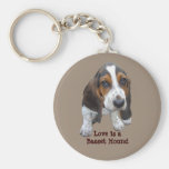 Basset Hound Puppy Keychain