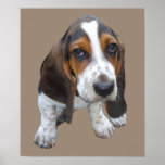 Basset Hound Puppy Print