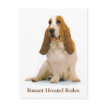 Basset Hound Rules Postcard