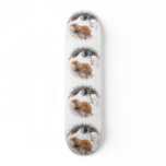 Basset Hound Skateboard