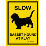 Basset Hound Slow At Play T-Shirt