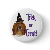 Basset Hound Trick