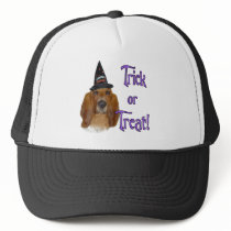 Basset Hound Trick