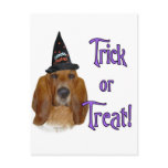 Basset Hound Trick Post Cards