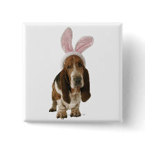 Basset hound with bunny ears button