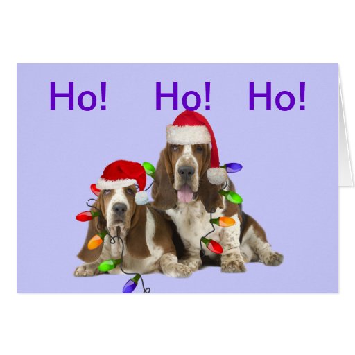 Basset Hounds Ho Ho Ho Merry Christmas Cards 