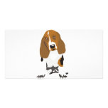 Basset Hound's photo cards
