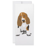 Basset Hound's rack cards