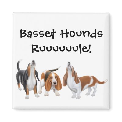 Basset Hounds Rule Magnet by twopurringcats