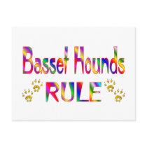 Basset Hounds Rule Post Card