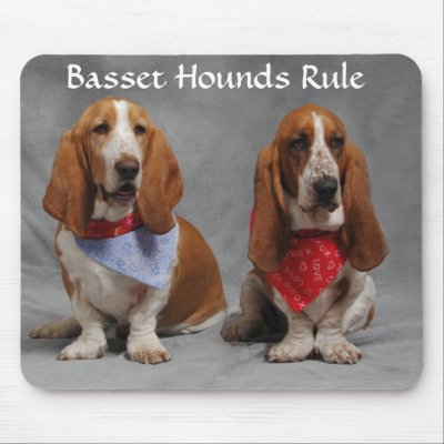 Basset Hounds Rule Wearing Bandanas Mousepad by alwaysdogs